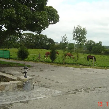 Traditional Stone Cottage 300 Years+ Galway Extérieur photo