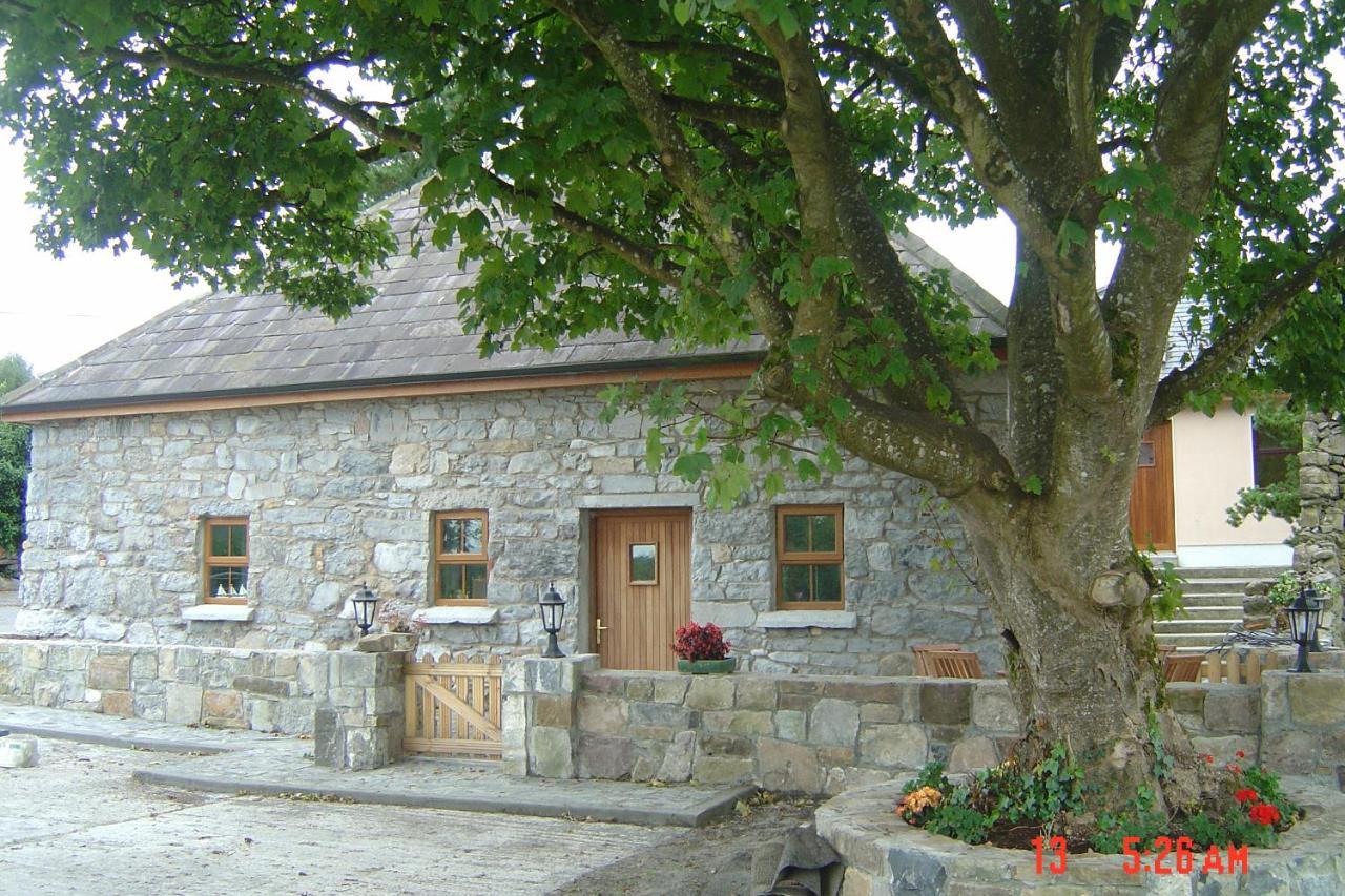 Traditional Stone 300 Years+ Casa vacanze